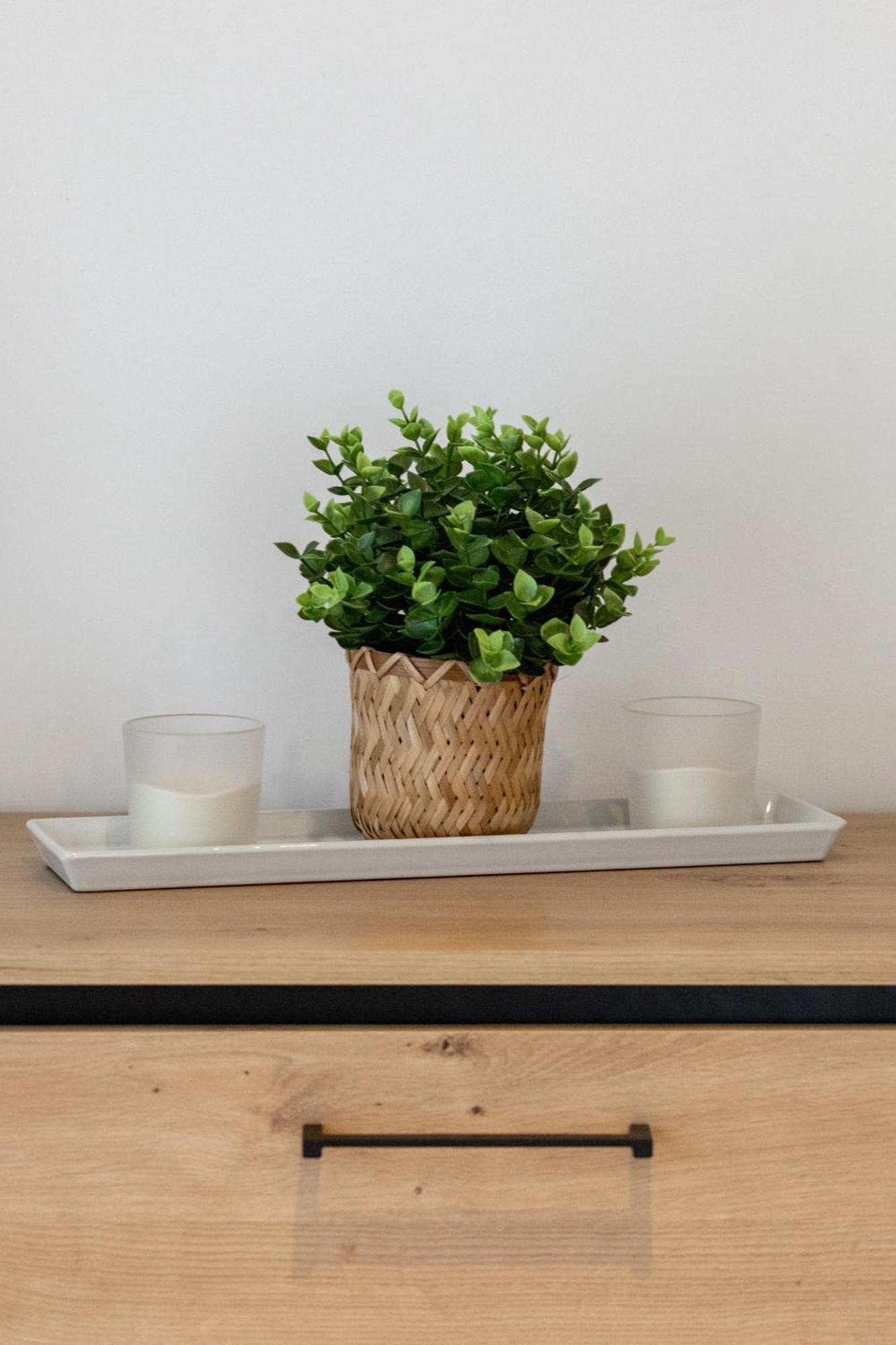 Apartment Stylowy Blisko Morza Z Parkingiem Zielona 3a By Renters Miedzywodzie